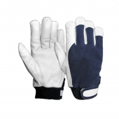 Batting & Fancy Gloves